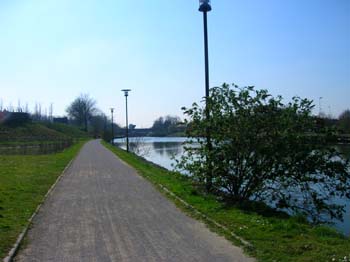 DSCN4481