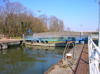 DSCN4489