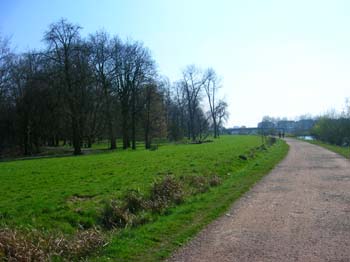 DSCN4501
