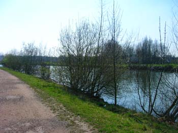 DSCN4502