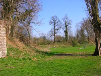 DSCN4537