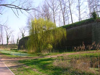 DSCN4538