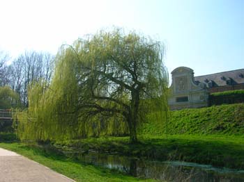 DSCN4541