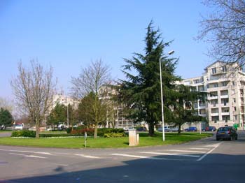 DSCN4628