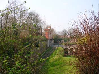 DSCN4663