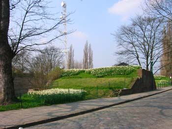 DSCN4677