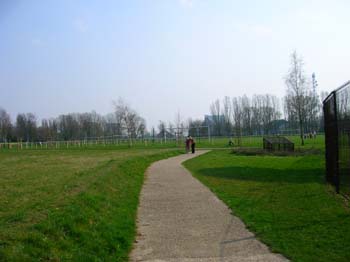 DSCN4698