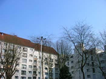 DSCN4713