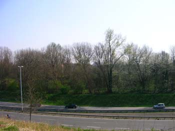 DSCN4804