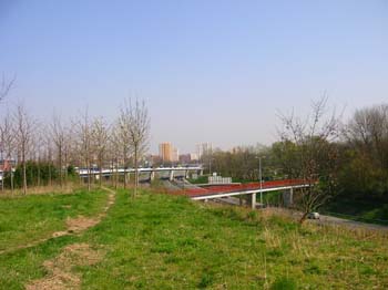 DSCN4805