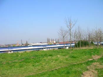 DSCN4806