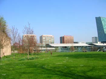 DSCN4952