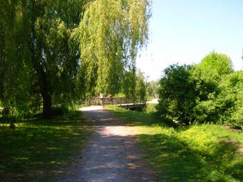DSCN5180