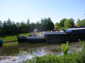 DSCN5181