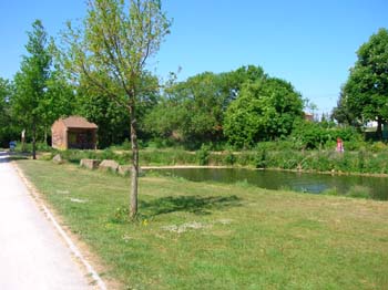 DSCN5182