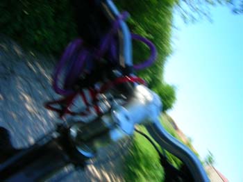 DSCN5195