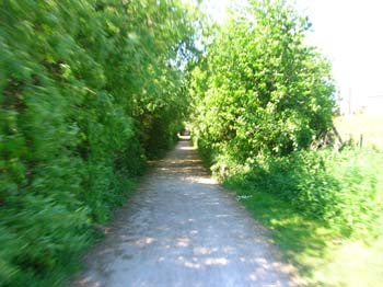 DSCN5196