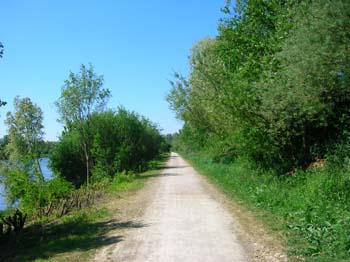 DSCN5197