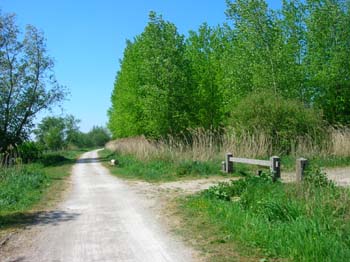 DSCN5201