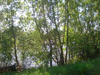 DSCN5206