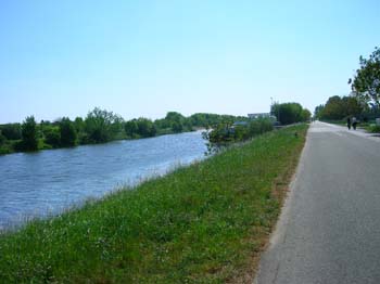 DSCN5252