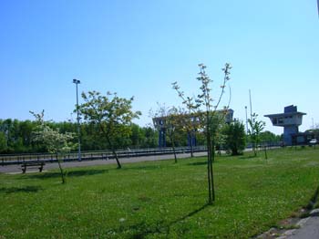 DSCN5253
