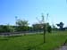 DSCN5253